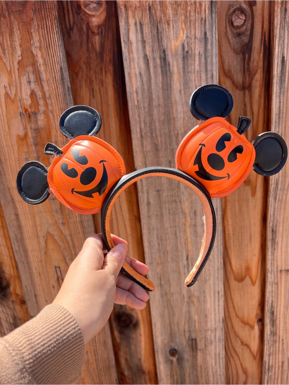 Disney Pumpkin Ears